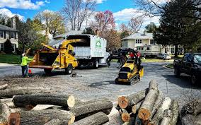 Lawn Grading and Leveling in Holly Ridge, NC